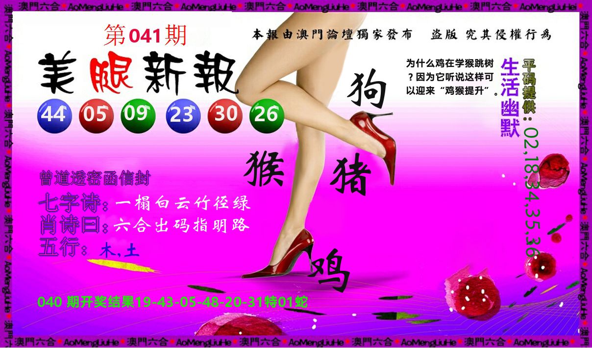 美腿新报 第41期