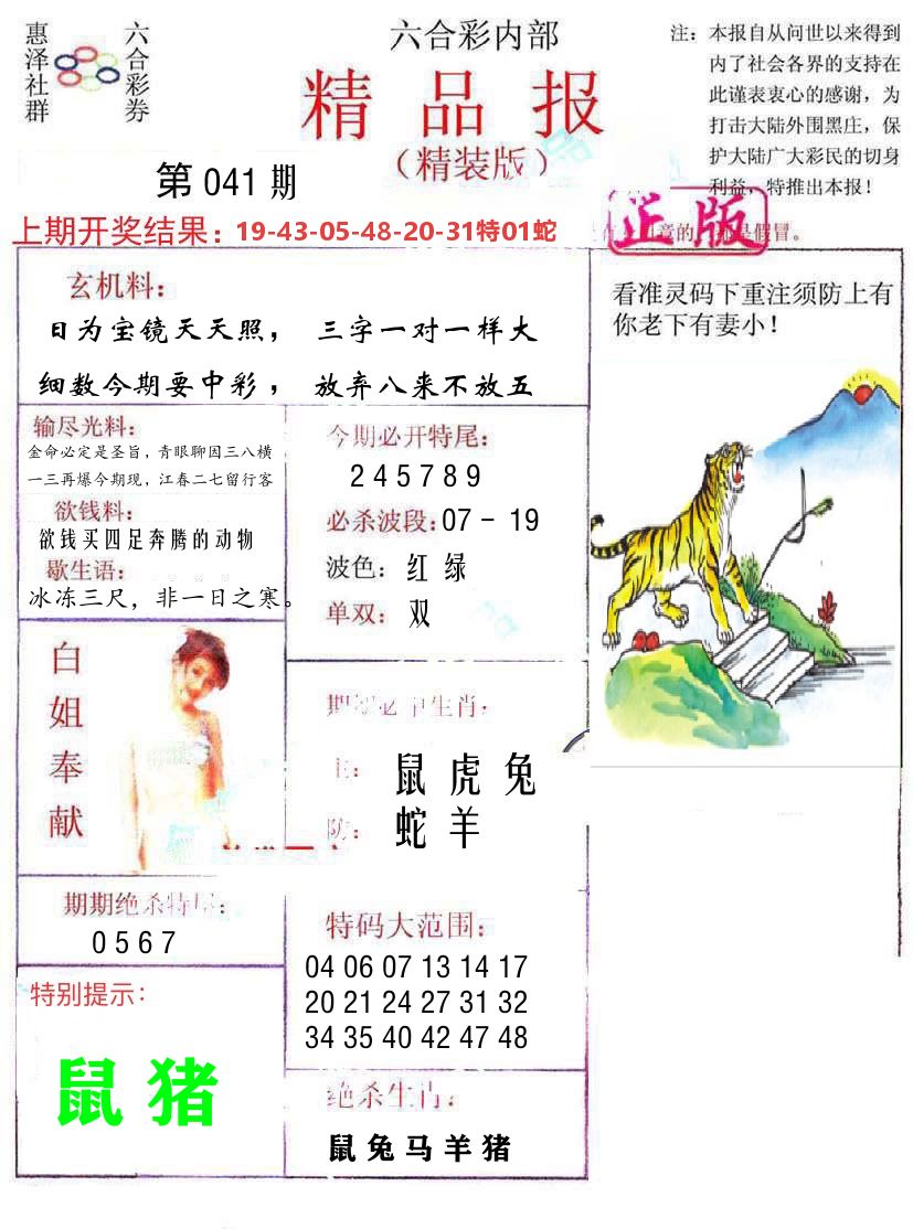 精品报 第41期