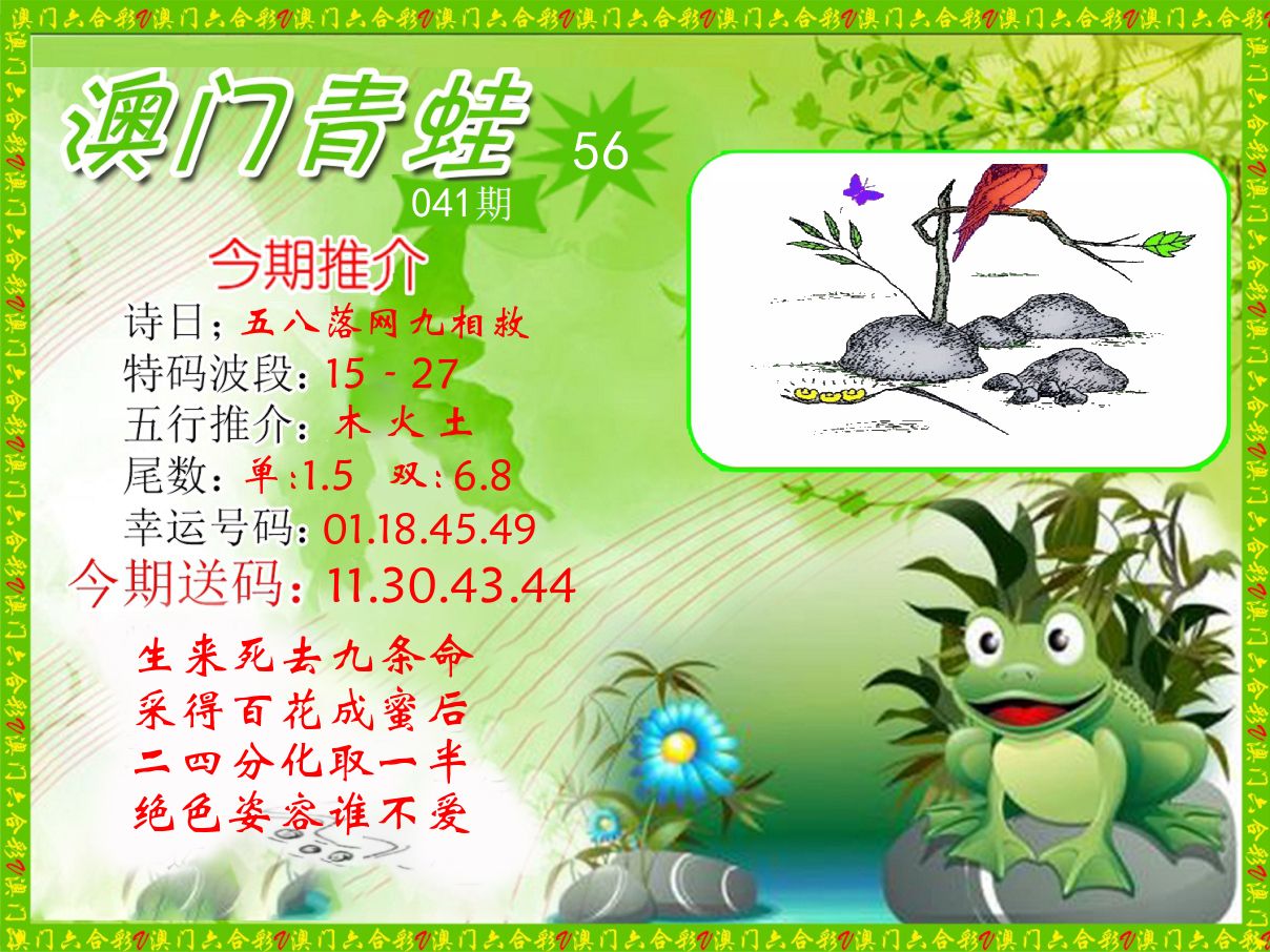 青蛙系列56 第41期