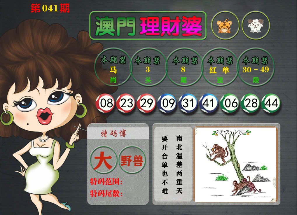 理财婆 第41期