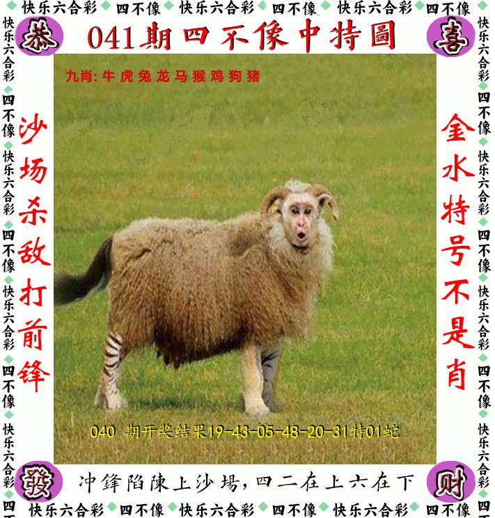 四不像 第41期