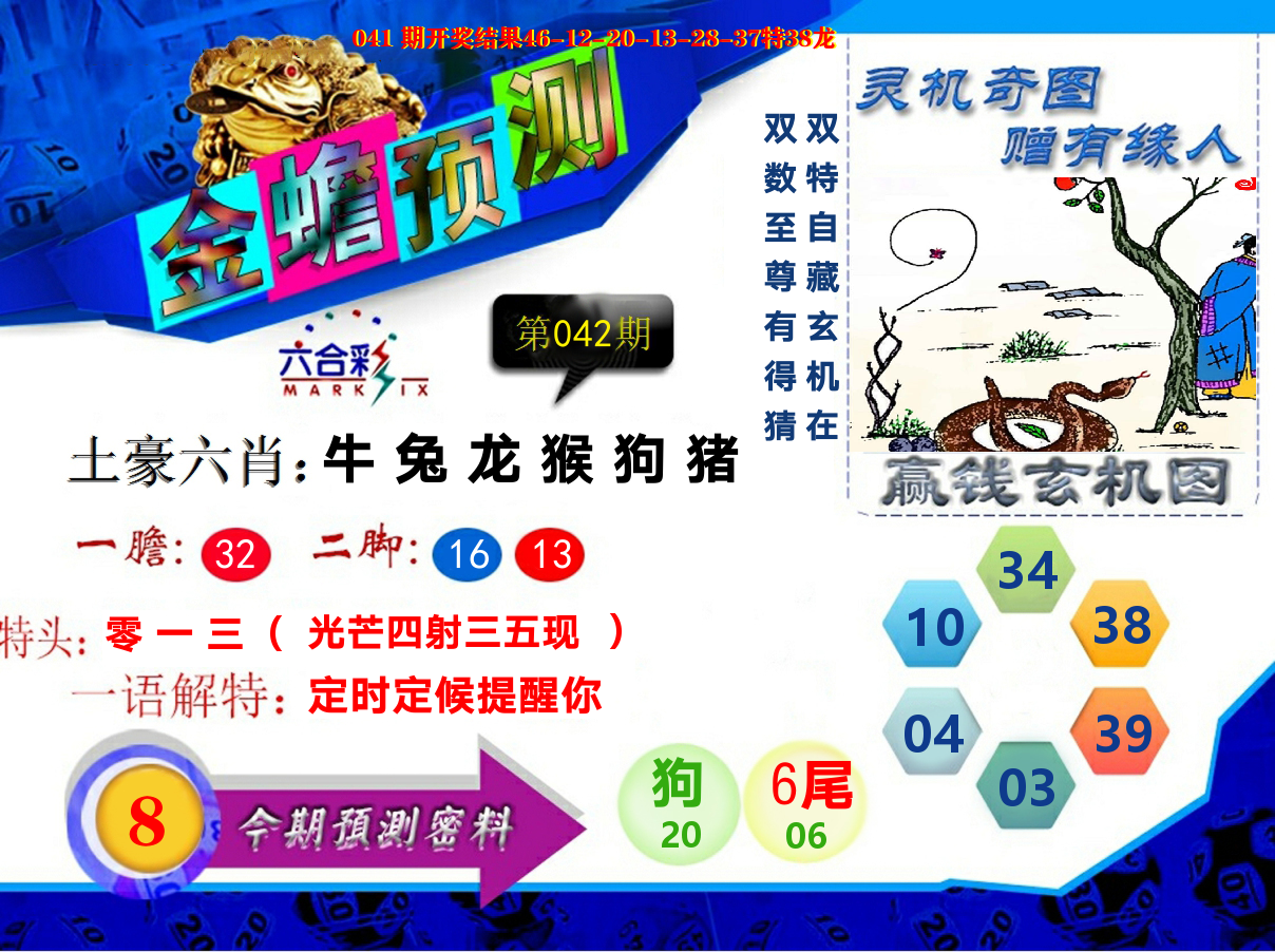 金蟾预测 第42期