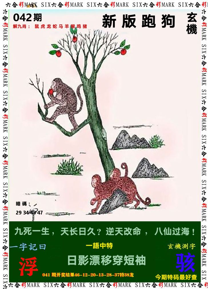 悟入其图 第42期