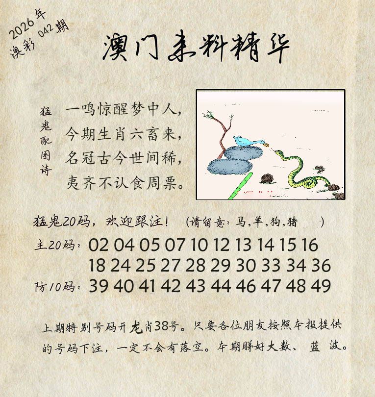 精华来料 第42期
