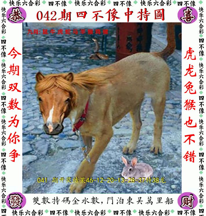 四不像 第42期