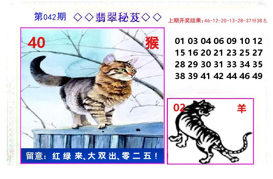 翡翠秘芨 第42期