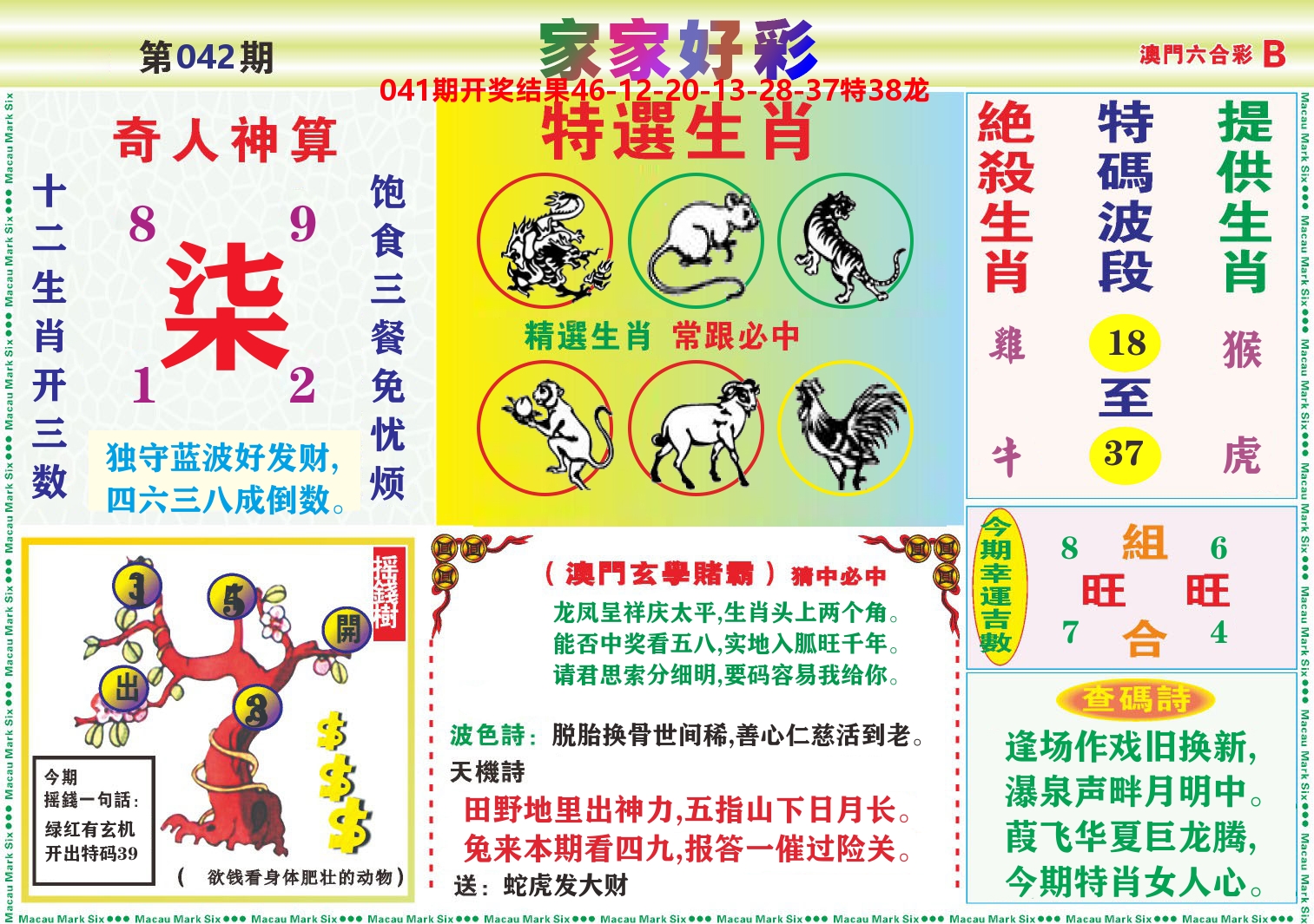 家家好彩B 第42期