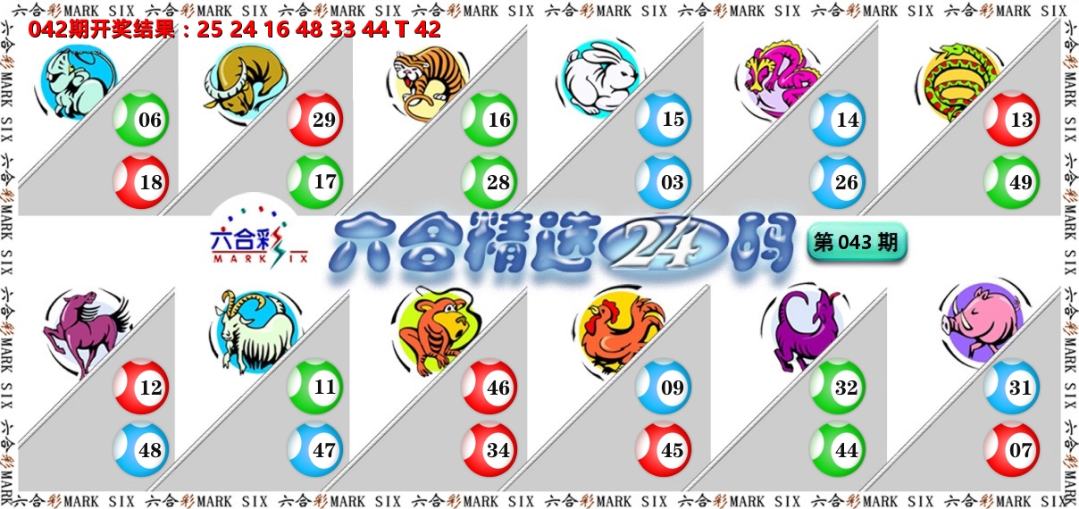 六合精选24码 第43期