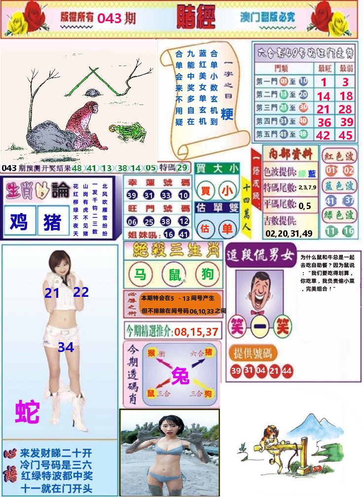 澳门赌经 第43期