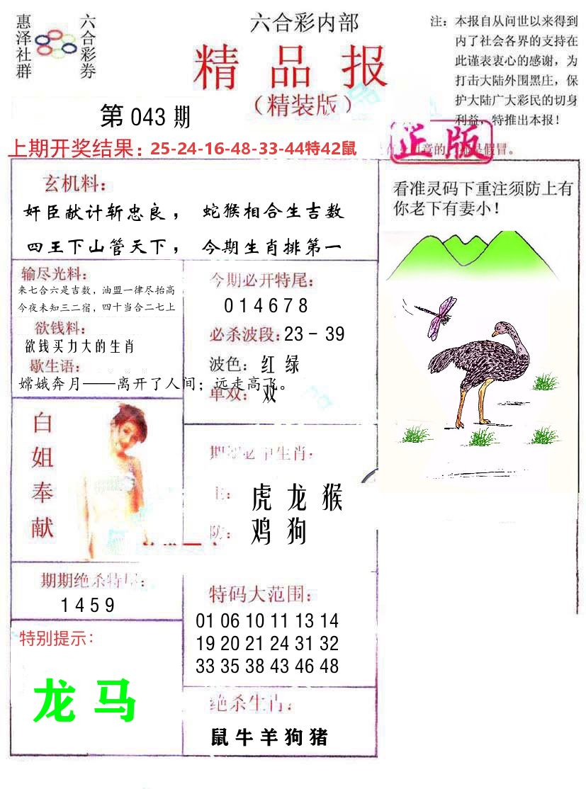 精品报 第43期