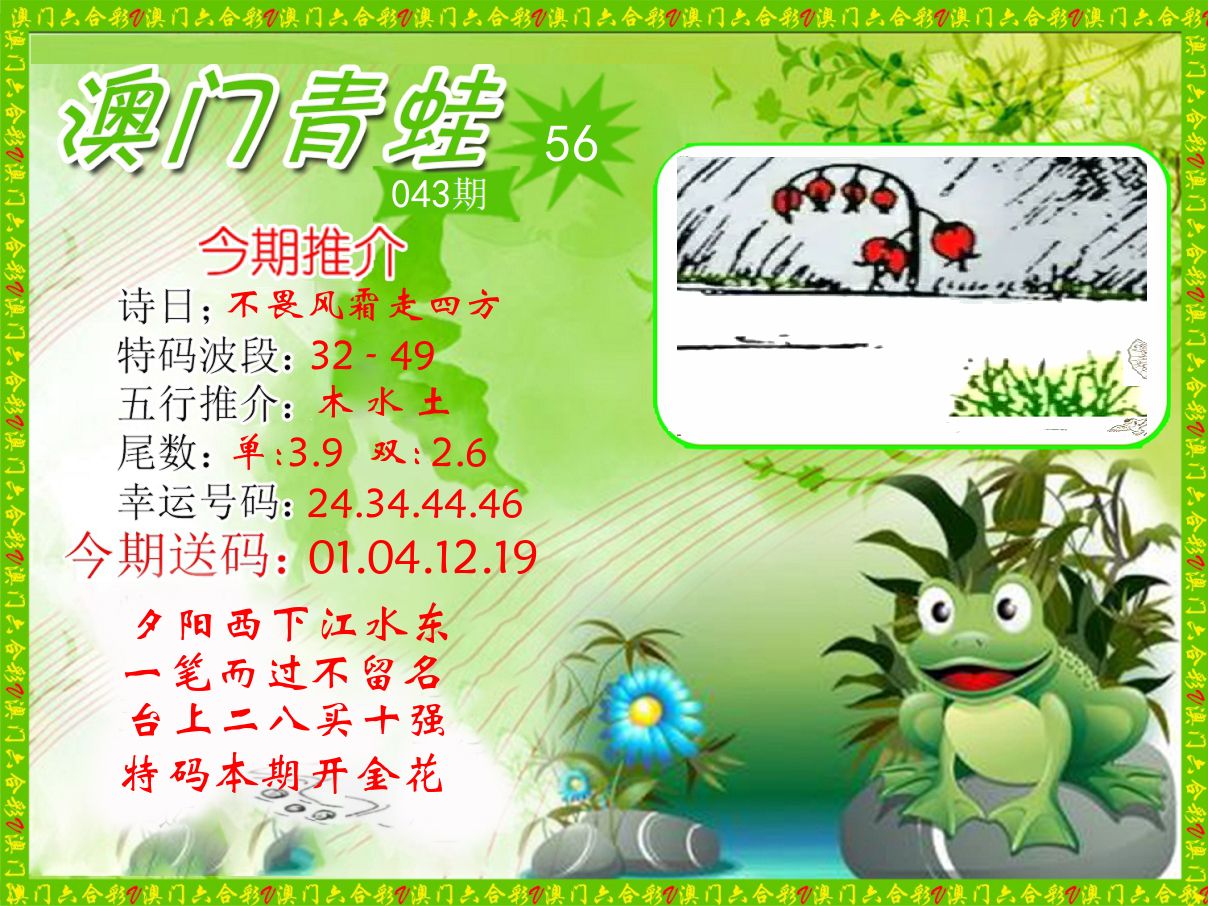 青蛙系列56 第43期