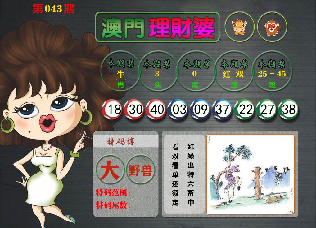 理财婆 第43期