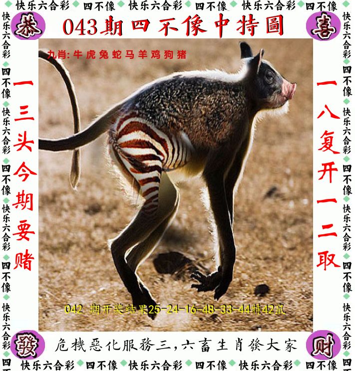 四不像 第43期