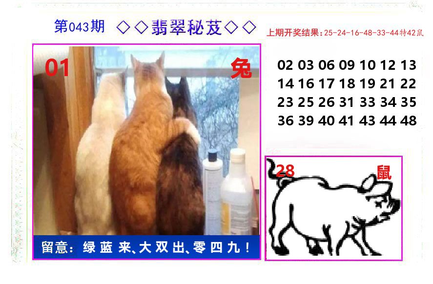 翡翠秘芨 第43期