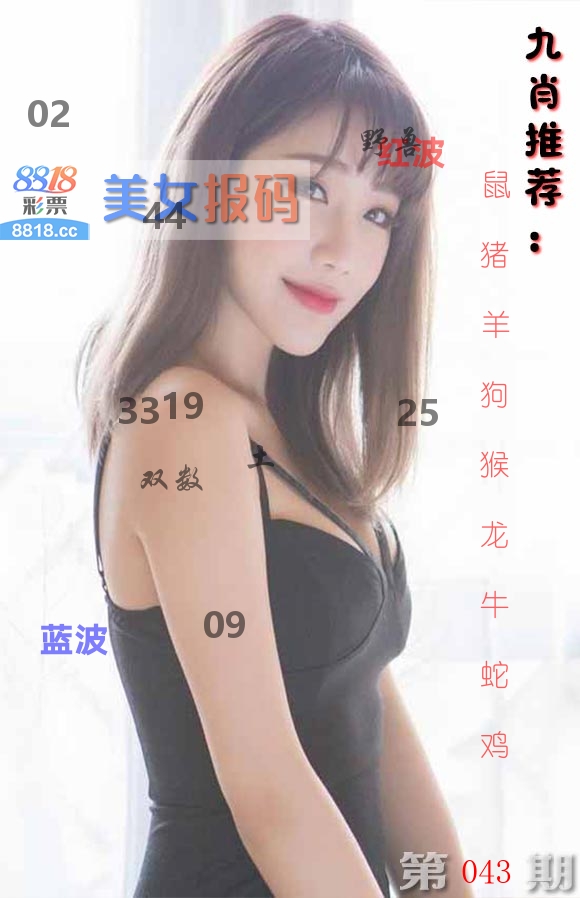 美女报码 第43期