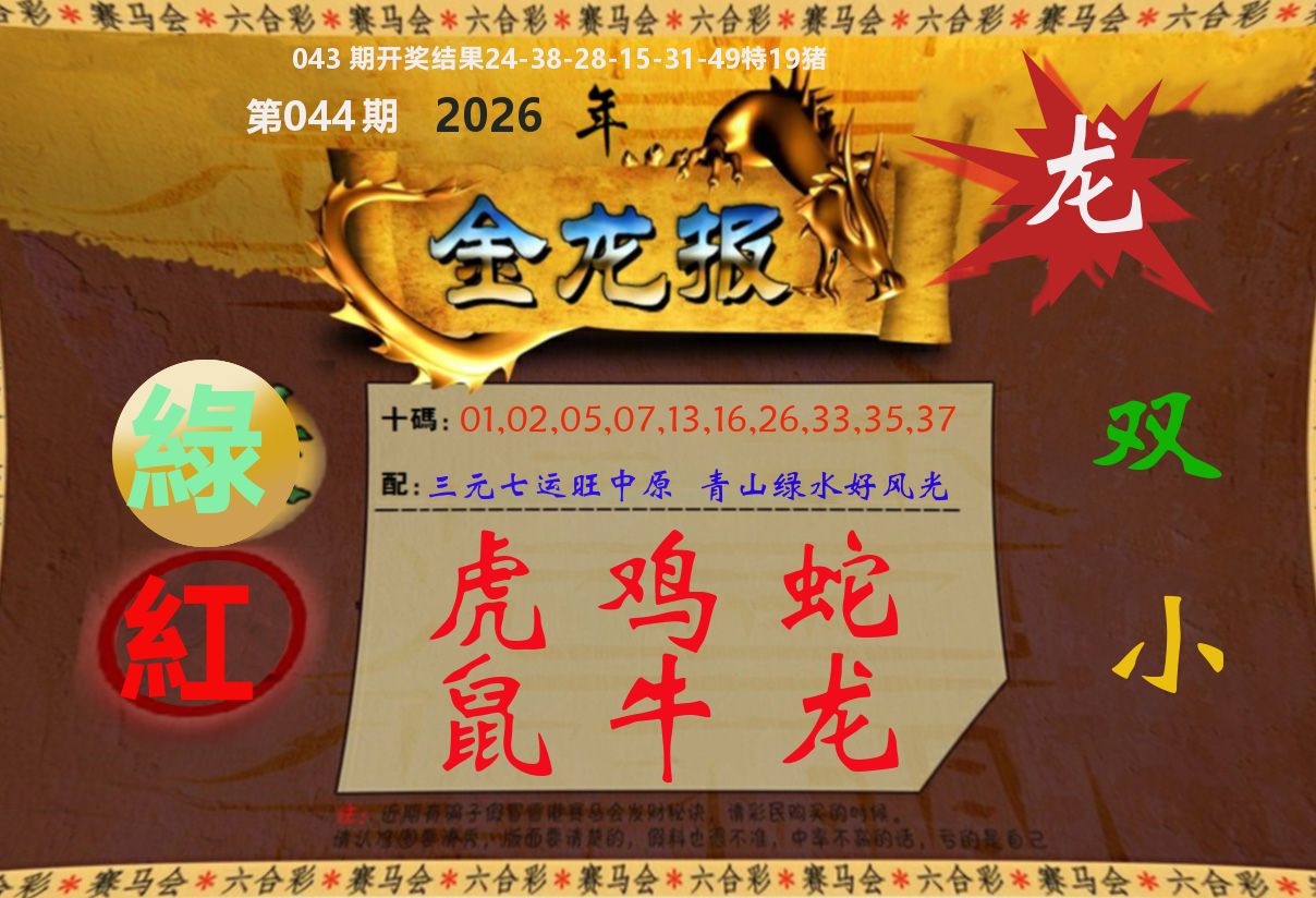金龙报 第44期