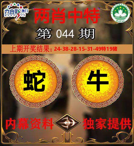 两肖中特 第44期