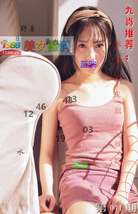 美女报码 第44期