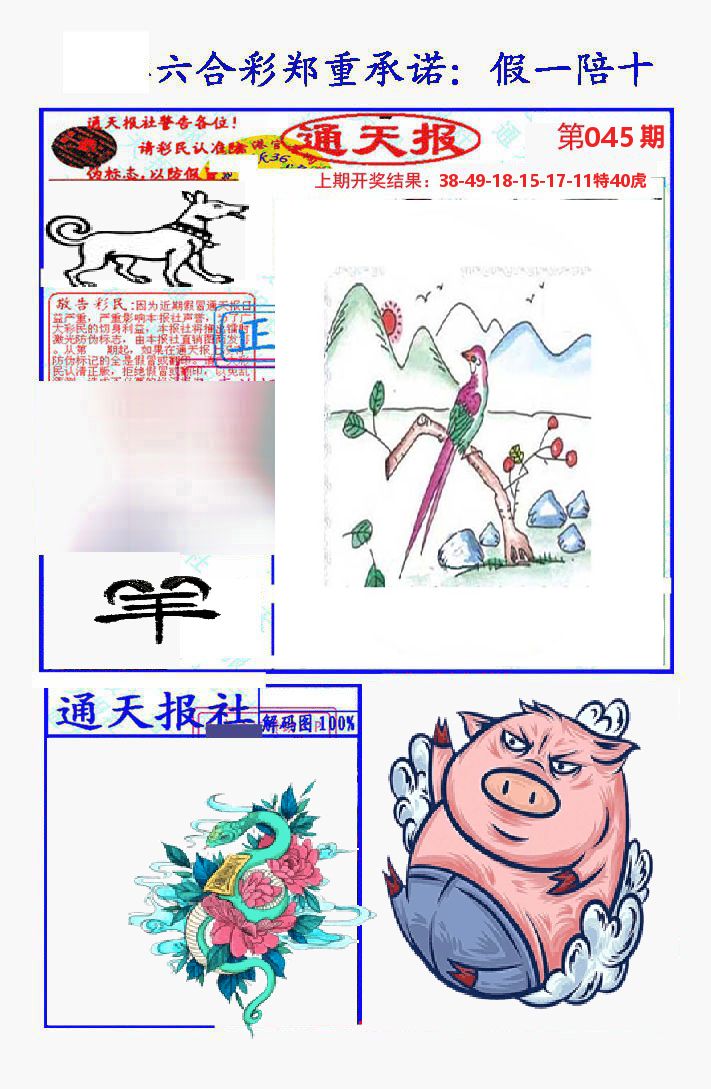 通天报 第45期
