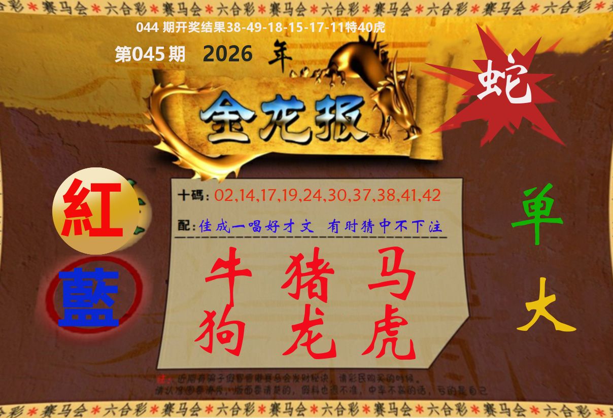 金龙报 第45期