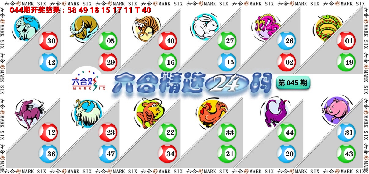 六合精选24码 第45期