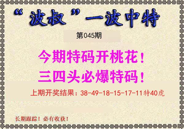 波叔中特 第45期