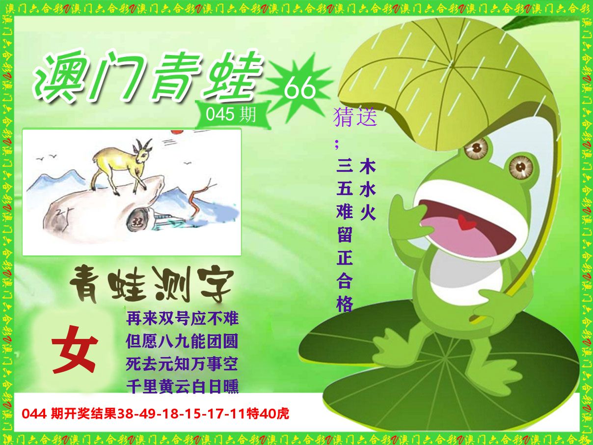 青蛙系列66 第45期