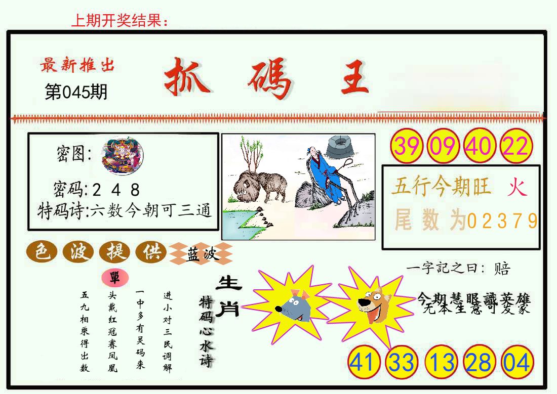 最新抓码王 第45期