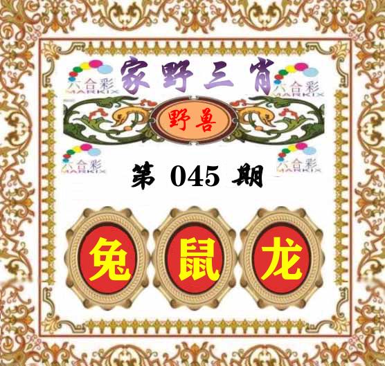 家野三肖 第45期