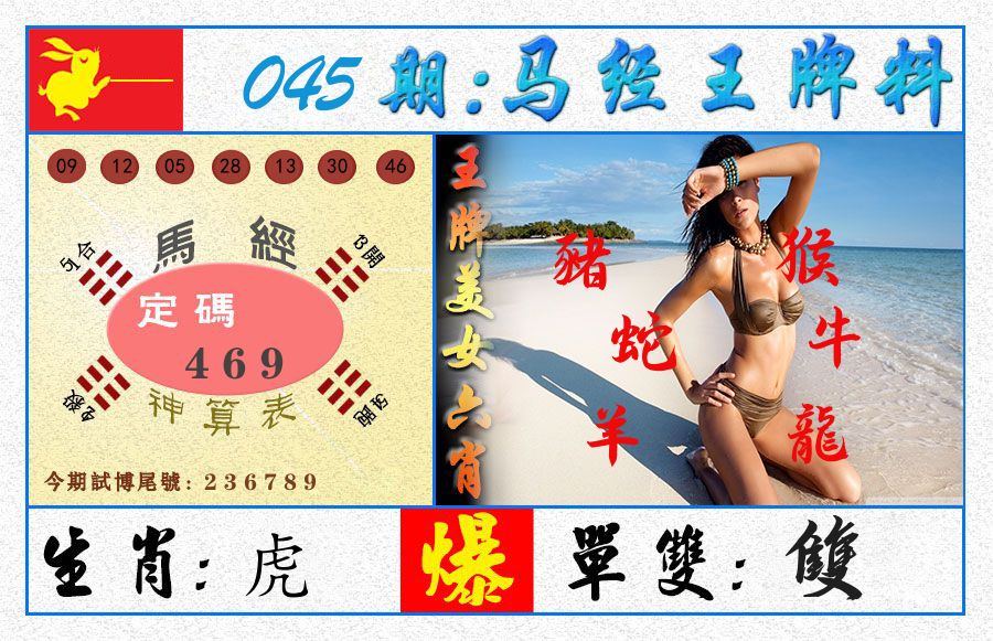 澳门王牌料 第45期