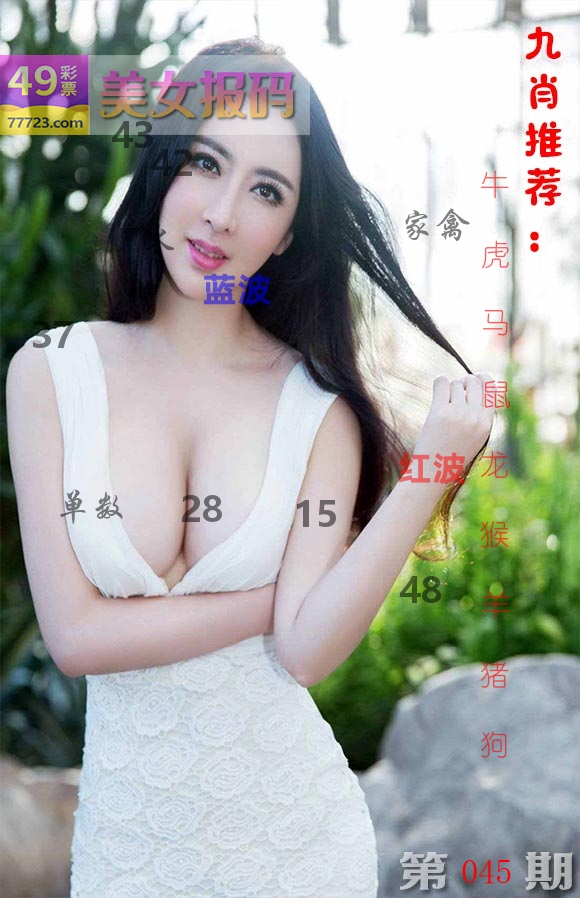 美女报码 第45期