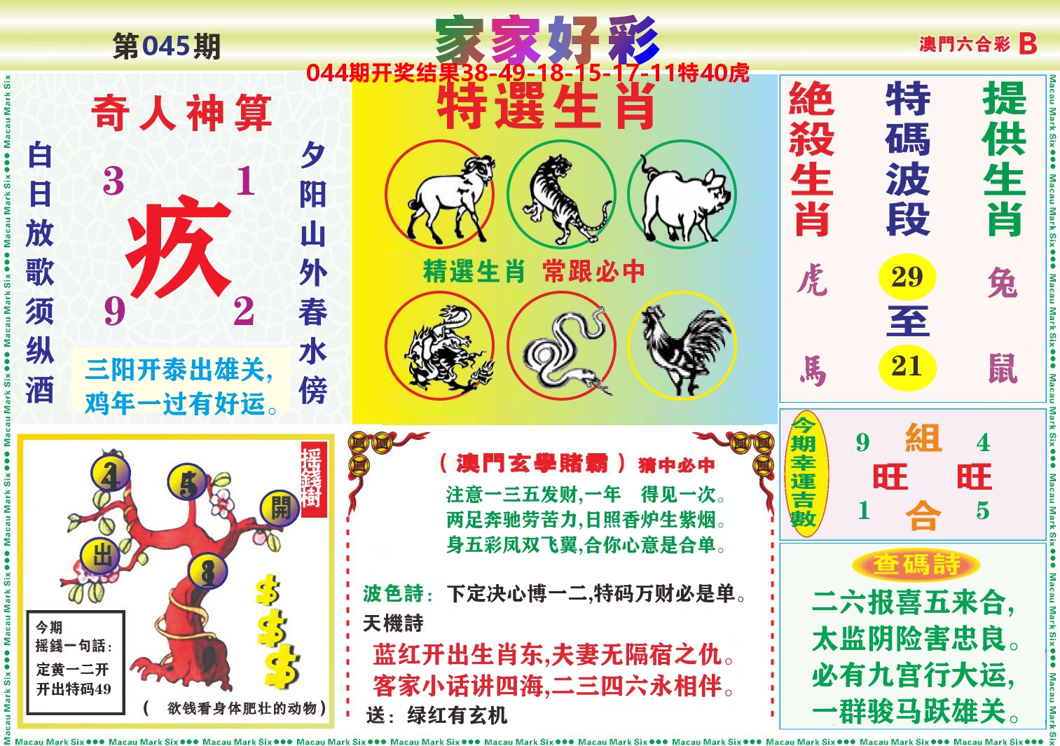 家家好彩B 第45期