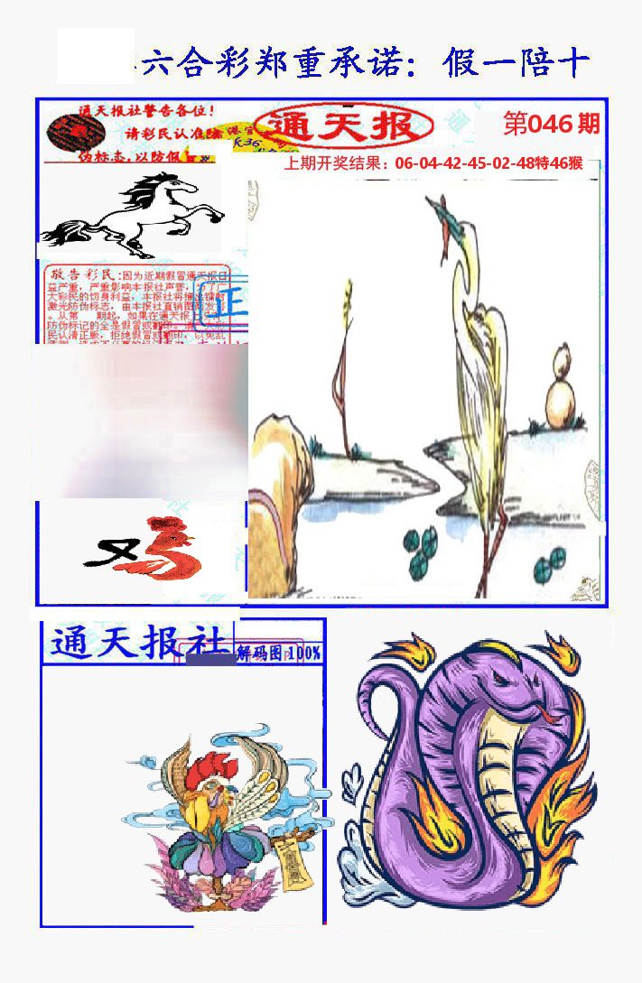 通天报 第46期