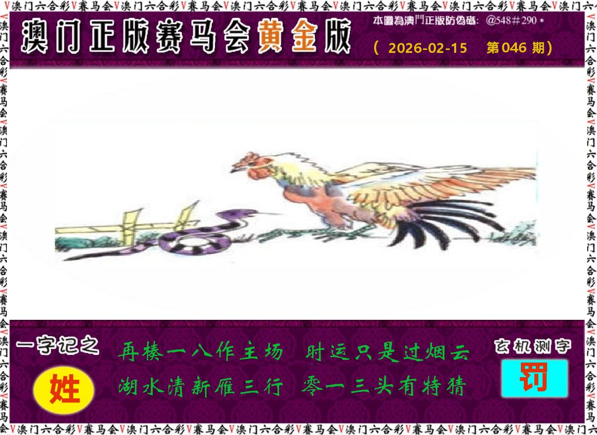赛马会黄金版 第46期