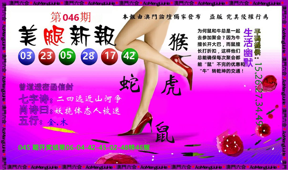 美腿新报 第46期
