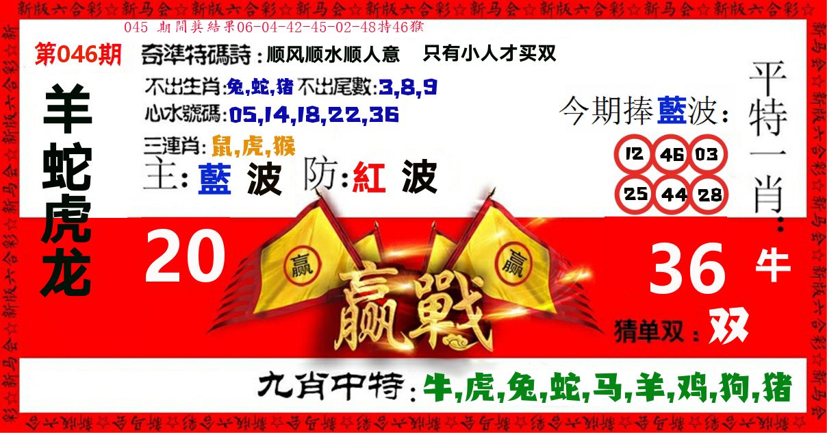 赢站 第46期