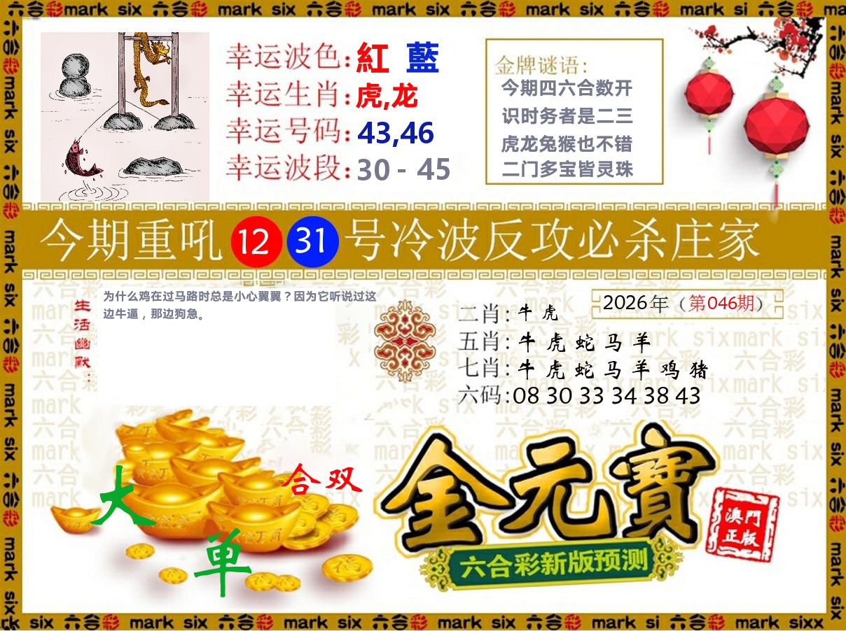 金元宝 第46期