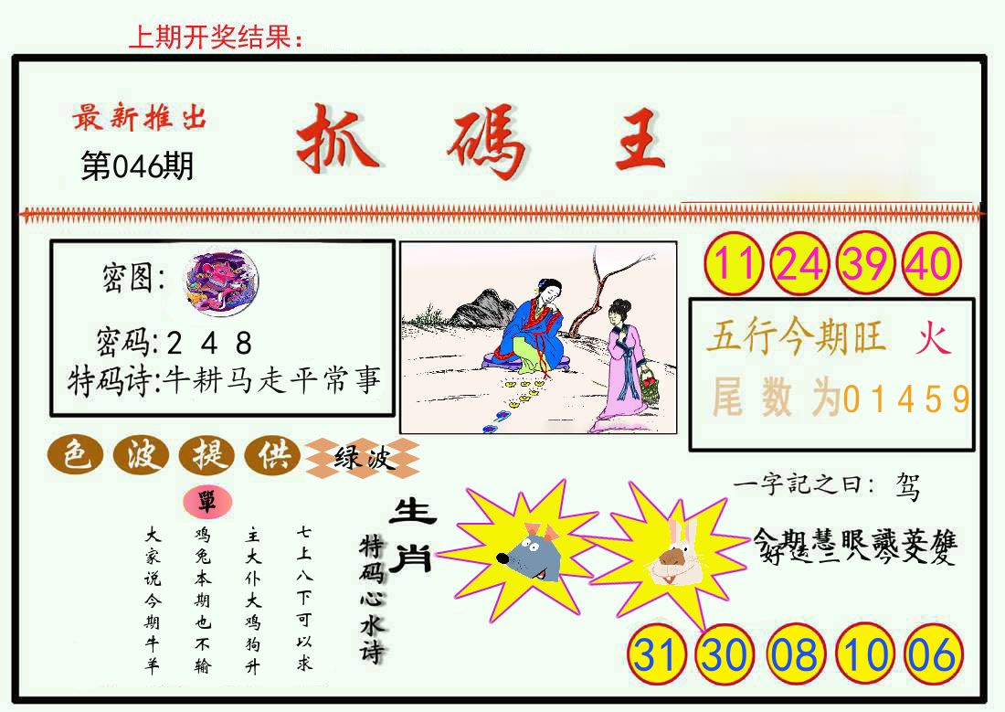 最新抓码王 第46期
