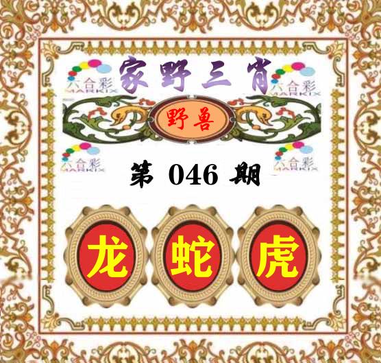 家野三肖 第46期