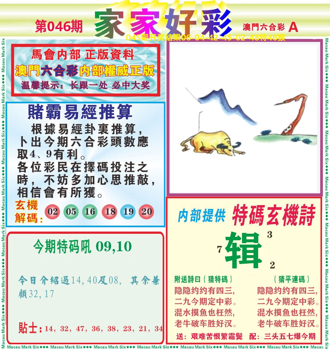 家家好彩A 第46期