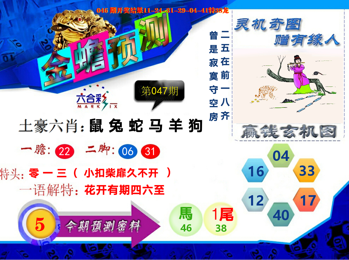 金蟾预测 第47期