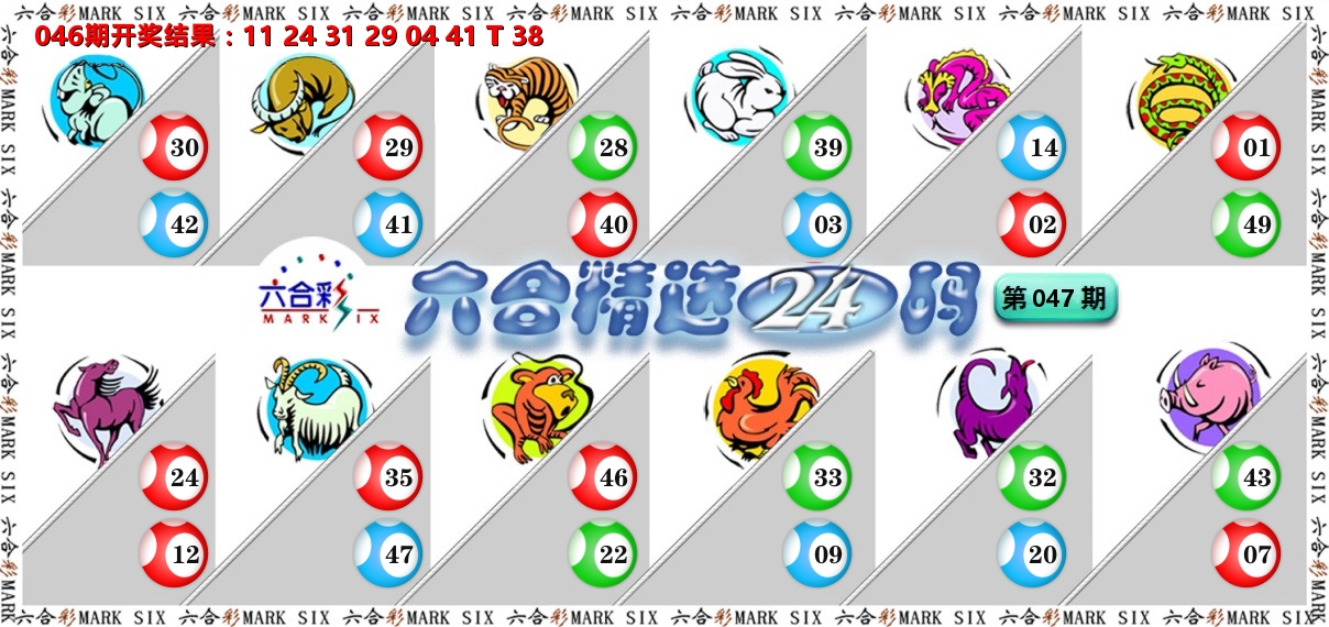 六合精选24码 第47期