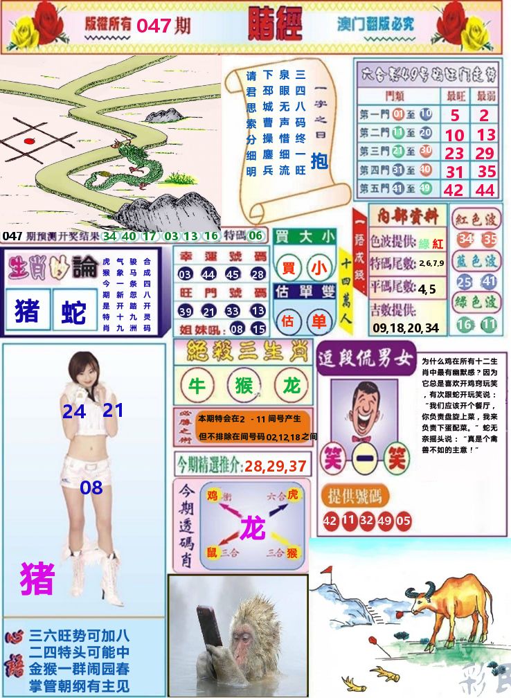 澳门赌经 第47期
