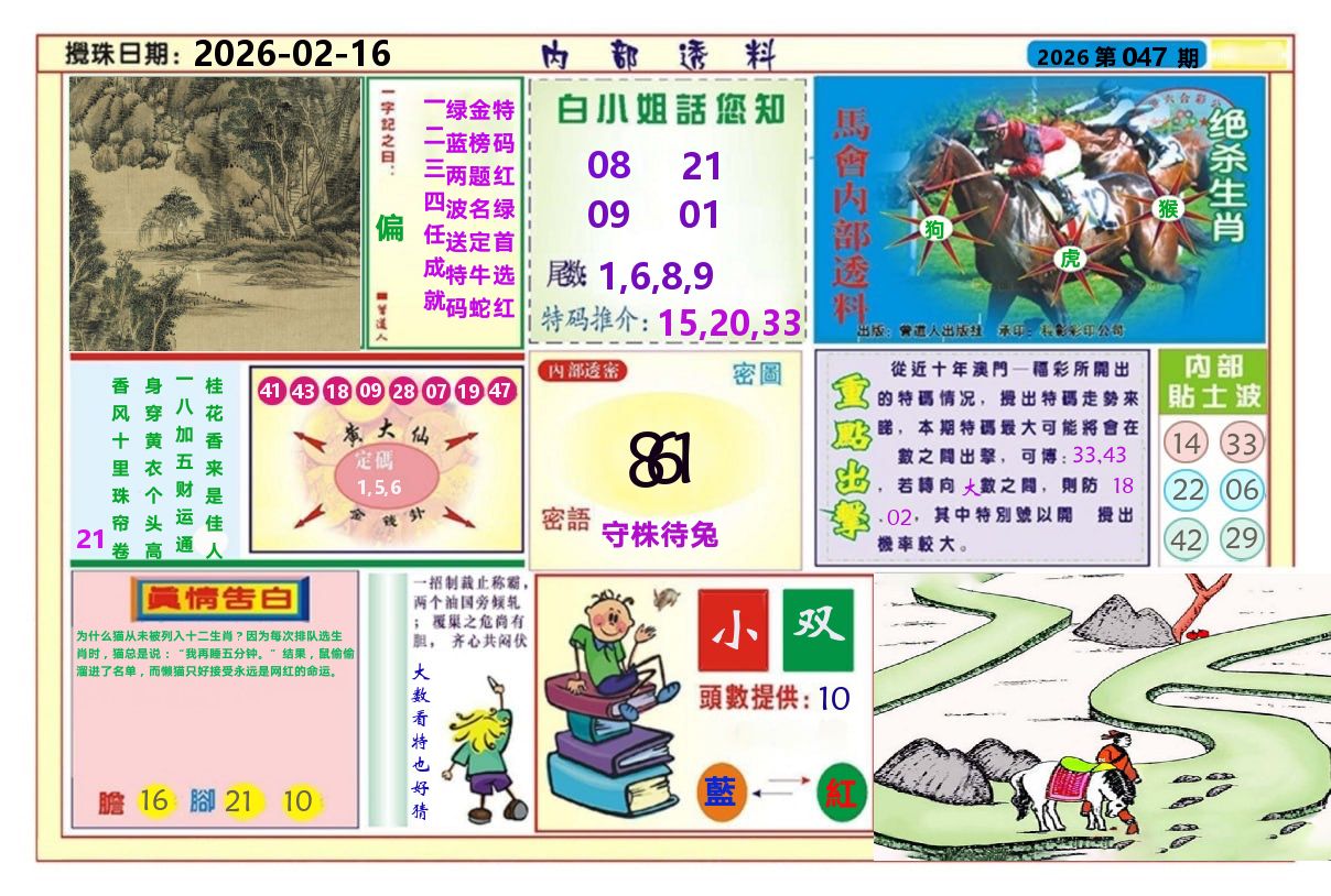 澳门内部透料A 第47期