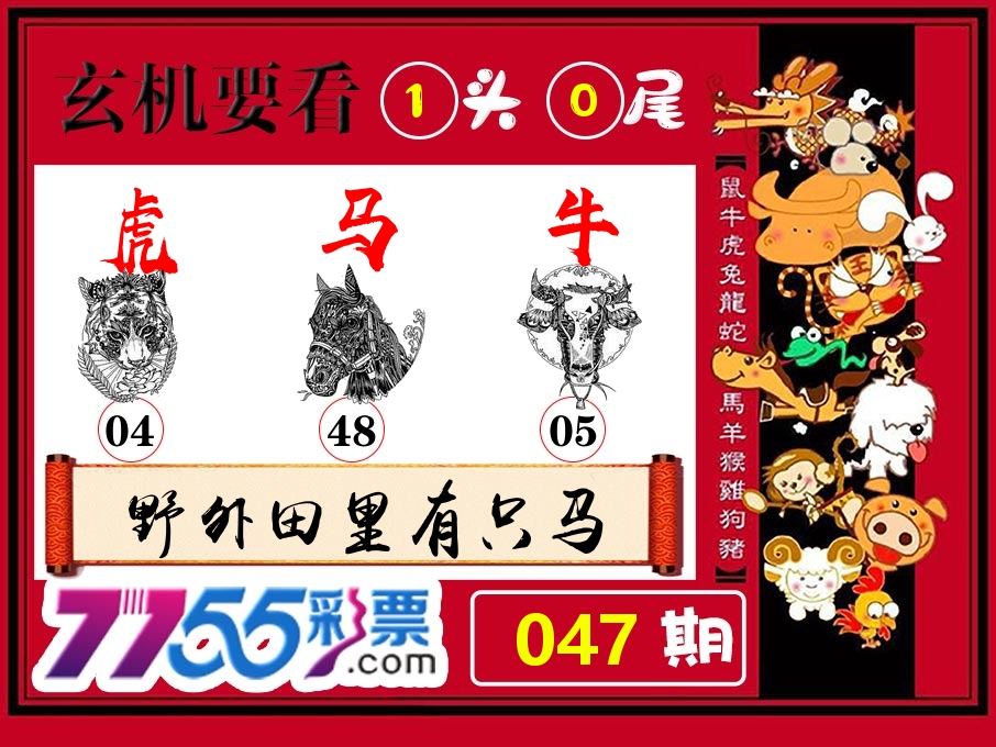 玄机要看 第47期