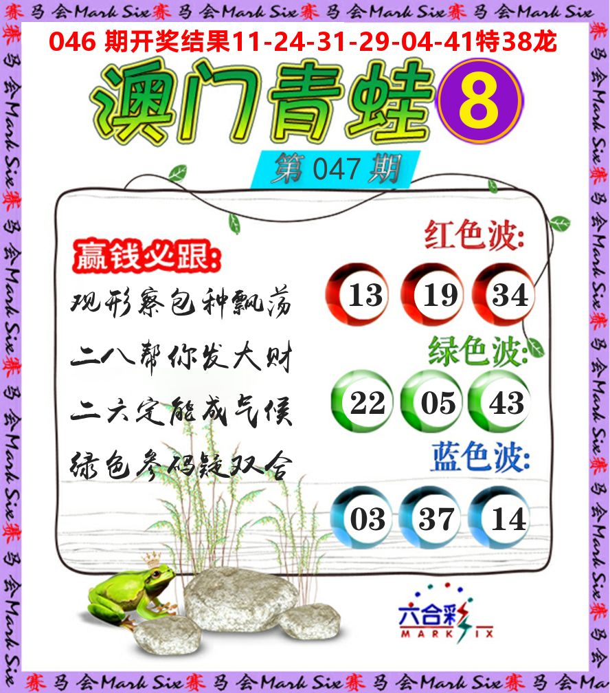 青蛙系列8 第47期