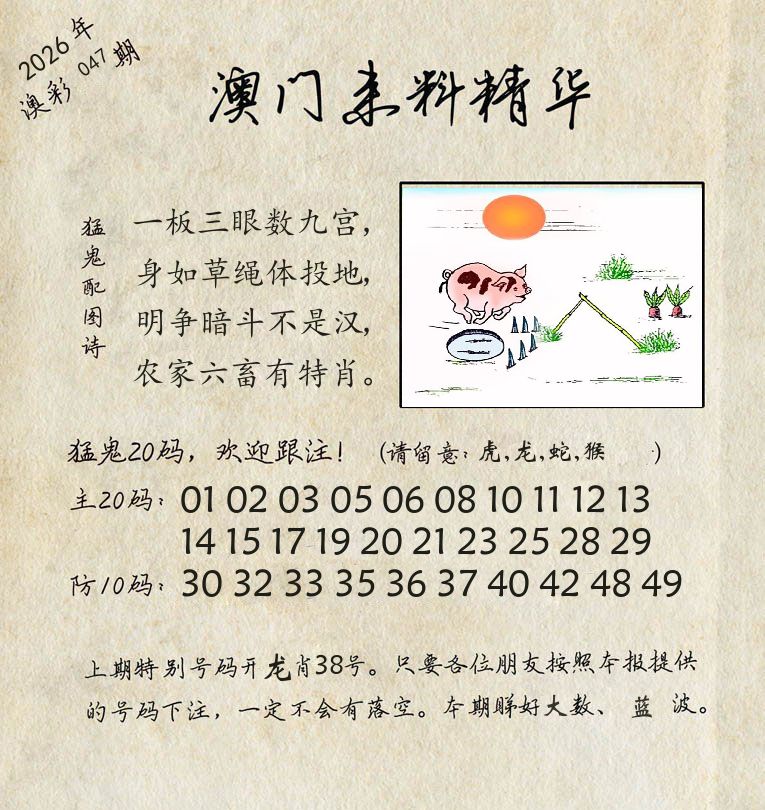 精华来料 第47期