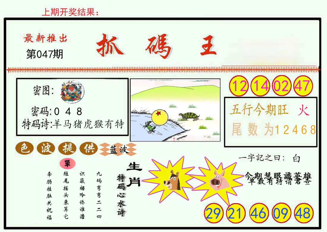 最新抓码王 第47期