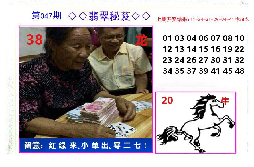 翡翠秘芨 第47期