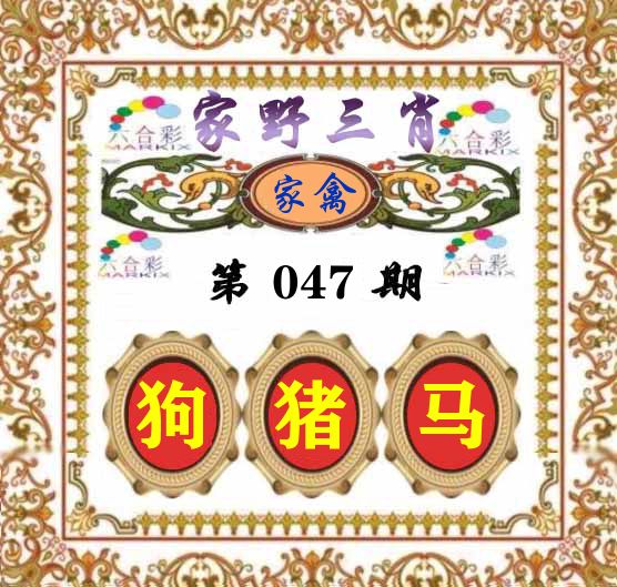 家野三肖 第47期
